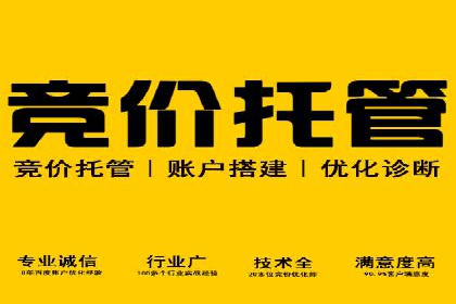 竞价SEM托管服务在行业中的应用案例
